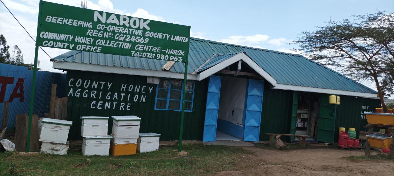 Nyuki narok